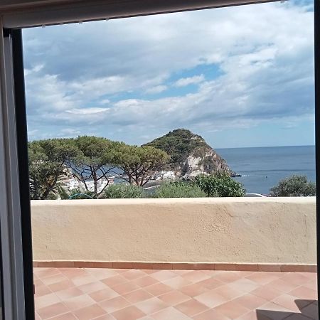 مبيت وإفطار Ischia Island Parco Termale Tropical المظهر الخارجي الصورة